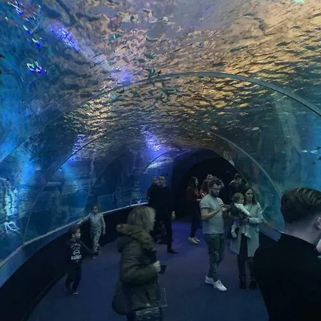 De 70 M2 Bien Situe A Sur