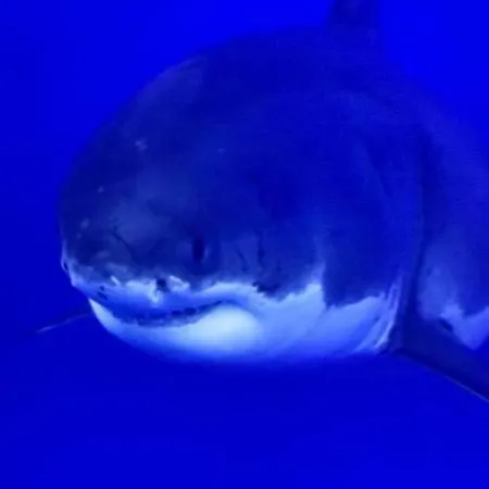 דירה De 70 M2 Bien Situe A Sur *