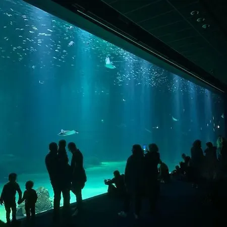 דירה De 70 M2 Bien Situe A Sur בולון-סור-מאר