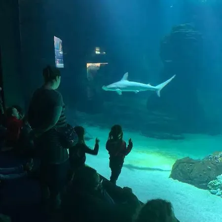 De 70 M2 Bien Situe A Sur *