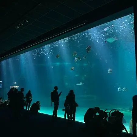 De 70 M2 Bien Situe A Sur