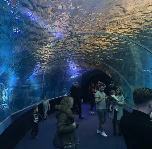 De 70 M2 Bien Situe A Sur