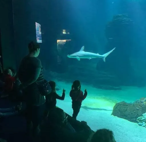 De 70 M2 Bien Situe A Sur *