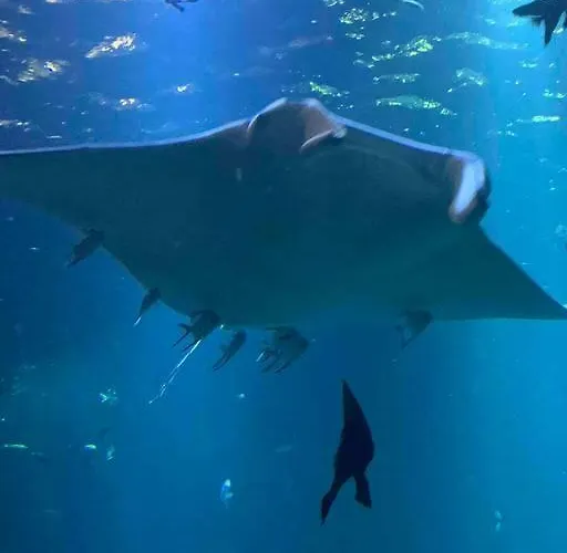 De 70 M2 Bien Situe A Sur Boulogne-sur-Mer