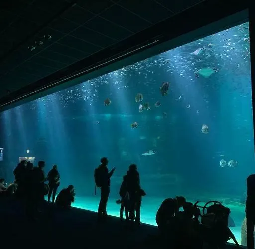 De 70 M2 Bien Situe A Sur