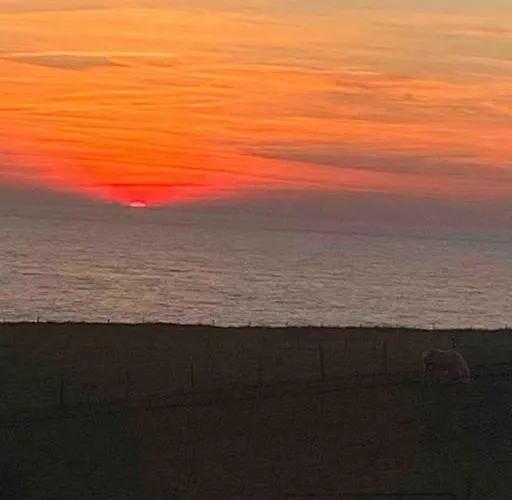 De 70 M2 Bien Situe A Sur Boulogne-sur-Mer