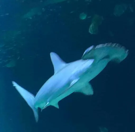 De 70 M2 Bien Situe A Sur * Boulogne-sur-Mer